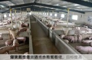 ST天邦：母猪场成本有高有低，
淘汰部分低效猪场的能繁母猪，目标提高
母猪场整体
效率及质量，进一步降低断
仔猪成本