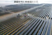 中国核电：中核田
200万千瓦滩涂光伏示范
开工
