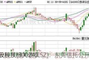 佳云科技(300242.SZ)：东莞信托公开其对
控股股东相关债权