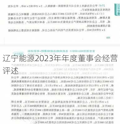辽宁能源2023年年度董事会经营评述